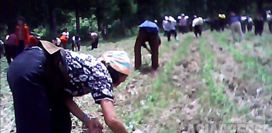 ＜動画・北朝鮮＞ 農村動員に不満を吐露する北朝鮮住民